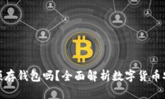 比特币必须存钱包吗？全面解析数字货币安全与