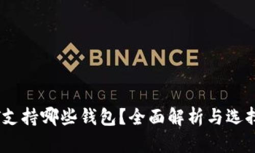 USDT支持哪些钱包？全面解析与选择指南