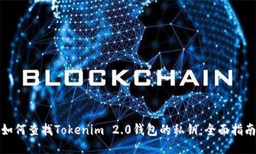 如何查找Tokenim 2.0钱包的私钥：全面指南
