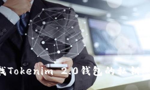 如何查找Tokenim 2.0钱包的私钥：全面指南