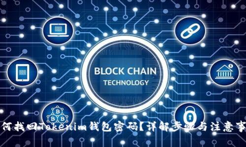 如何找回Tokenim钱包密码？详解步骤与注意事项