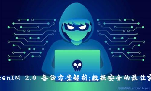 TokenIM 2.0 备份方案解析：数据安全的最佳实践