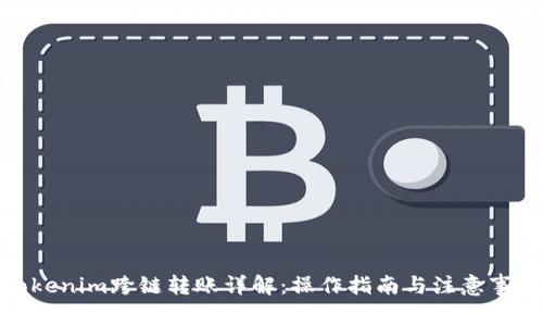 Tokenim跨链转账详解：操作指南与注意事项