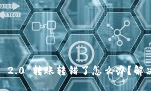 tokenim 2.0 转账转错了怎么办?解决办法一览