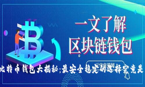 比特币钱包大揭秘：最安全稳定的选择究竟是？