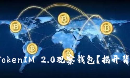 如何制作TokenIM 2.0观察钱包？揭开背后的秘密！