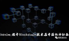 Tokenim：揭开Blockchain技术在中国的神秘面纱