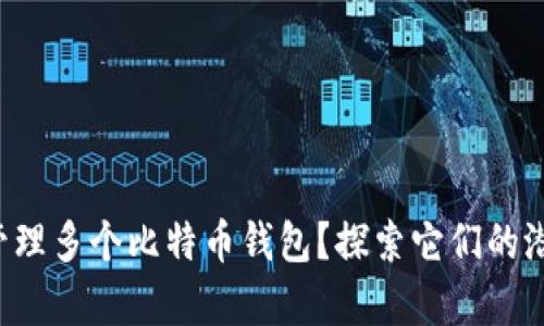如何有效管理多个比特币钱包？探索它们的潜力与挑战！