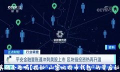你真的会选吗？揭秘“山寨比特币钱包”的背后