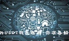 成都的USDT钱包选择：你准备好了吗？