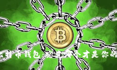 选择最佳比特币钱包：究竟哪个才是你的理想之选？