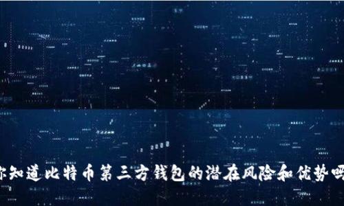 你知道比特币第三方钱包的潜在风险和优势吗？