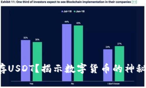 钱包存USDT？揭示数字货币的神秘世界！