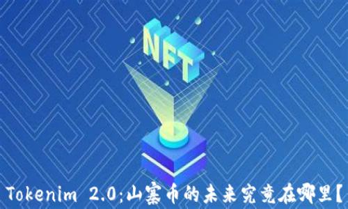 
Tokenim 2.0：山寨币的未来究竟在哪里？