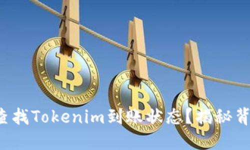 如何快速查找Tokenim到账状态？揭秘背后的秘密！