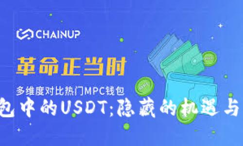 探索IM钱包中的USDT：隐藏的机遇与未来挑战？