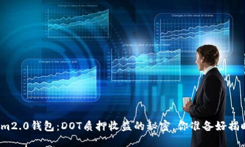 Tokenim2.0钱包：DOT质押收益的秘密，你准备好揭晓了吗？