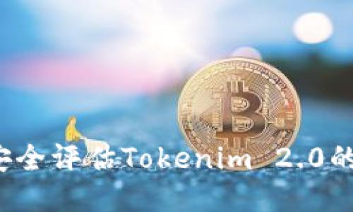 如何安全评估Tokenim 2.0的风险？