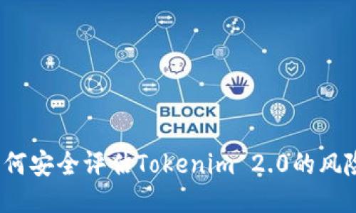 如何安全评估Tokenim 2.0的风险？