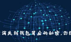 比特币突然消失到钱包背后的秘密，你绝对想不
