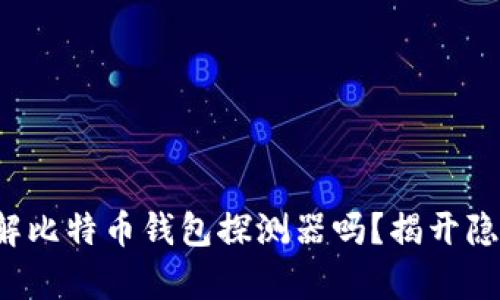 你真的了解比特币钱包探测器吗？揭开隐藏的真相！