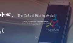 要查询某个区块链项目的公钥（如Tokenim），可以