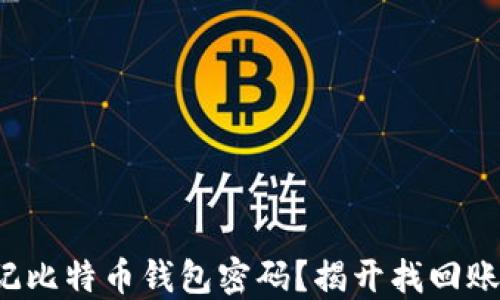 
你是否也曾忘记比特币钱包密码？揭开找回账号的神秘面纱！