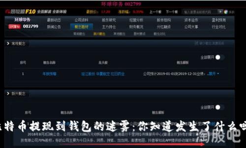 比特币提现到钱包的迷雾：你知道发生了什么吗？