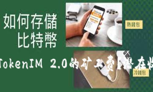 如何合理设置TokenIM 2.0的矿工费？潜在收益和风险揭示