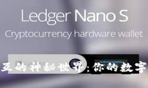 探索Sol钱包交互的神秘世界：你的数字资产何去何从？