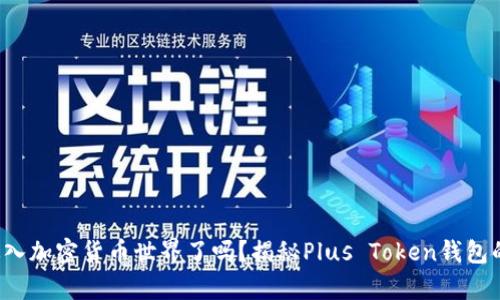 你准备好进入加密货币世界了吗？揭秘Plus Token钱包的真实面貌！