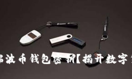 如何安全管理瑞波币钱包密钥？揭开数字货币的神秘面纱