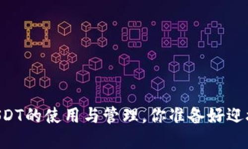 币安智能链钱包中USDT的使用与管理，你准备好迎接这个加密之旅了吗？