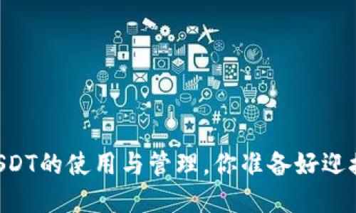 币安智能链钱包中USDT的使用与管理，你准备好迎接这个加密之旅了吗？