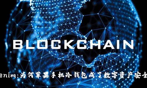 探秘Tokenim：为何苹果手机冷钱包成了数字资产安全的新宠？
