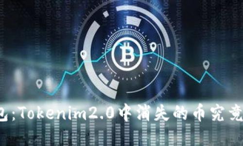 神秘的钱包：Tokenim2.0中消失的币究竟去哪儿了？