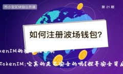 关于TokenIM的安全性分析### TokenIM：它真的是不安