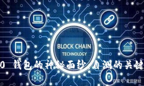 揭开Tokenim 2.0 钱包的神秘面纱：自测的关键环节和常见问题！