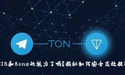 你准备好体验SHIB和Bone的魅力了吗？揭秘如何安全高效提取你的加密资产！