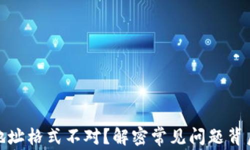 
比特币钱包地址格式不对？解密常见问题背后的解决之道