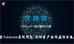 探索Tokenim离线钱包：你的资产为何在悄然流失？
