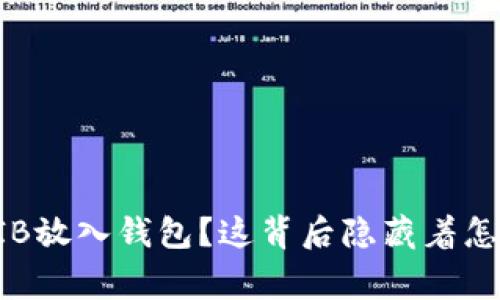 如何将SHIB放入钱包？这背后隐藏着怎样的故事？