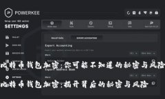 比特币钱包加密：你可能不知道的秘密与风险比