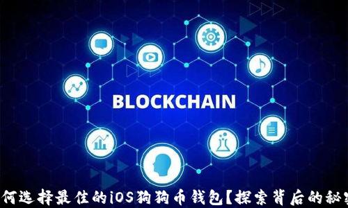 
如何选择最佳的iOS狗狗币钱包？探索背后的秘密！