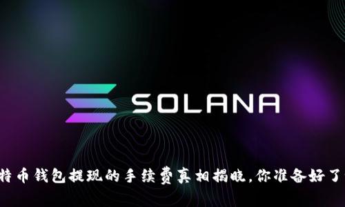 比特币钱包提现的手续费真相揭晓，你准备好了吗？