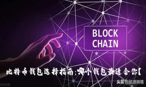 比特币钱包选择指南：哪个钱包最适合你？