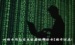 比特币钱包究竟能存放哪些币？揭开谜底！