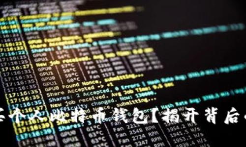 如何安全购买个人比特币钱包？揭开背后的秘密与技巧