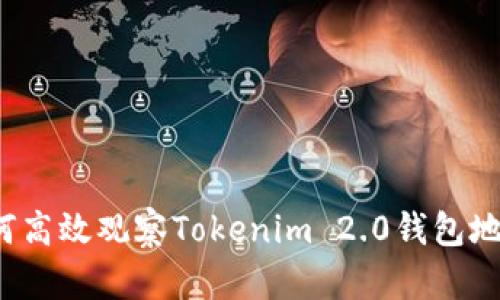 如何高效观察Tokenim 2.0钱包地址？