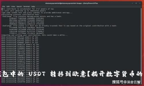 如何将钱包中的 USDT 转移到欧意?揭开数字货币的神秘面纱